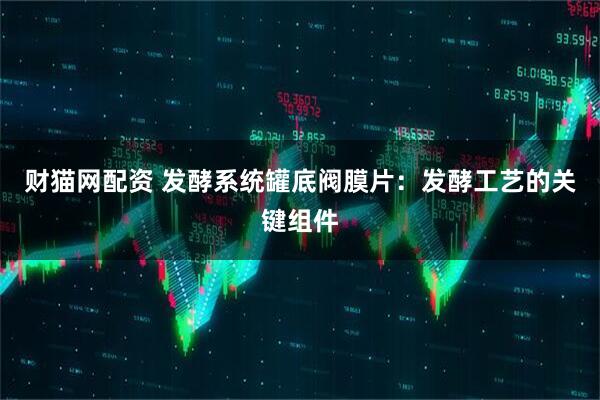 财猫网配资 发酵系统罐底阀膜片：发酵工艺的关键组件