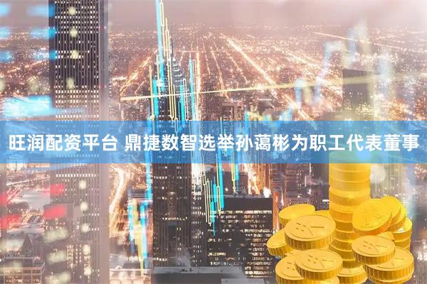 旺润配资平台 鼎捷数智选举孙蔼彬为职工代表董事