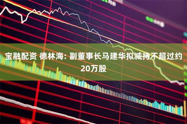 宝融配资 德林海: 副董事长马建华拟减持不超过约20万股