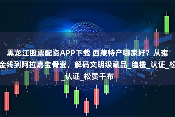 黑龙江股票配资APP下载 西藏特产哪家好？从雍布拉康金线到阿拉嘉宝骨瓷，解码文明级藏品_氆氇_认证_松赞干布