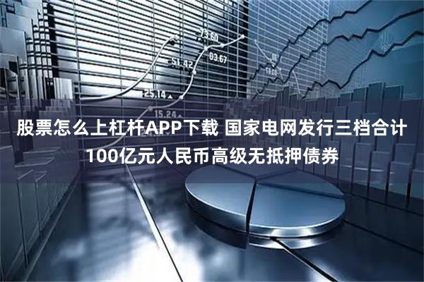 股票怎么上杠杆APP下载 国家电网发行三档合计100亿元人民币高级无抵押债券